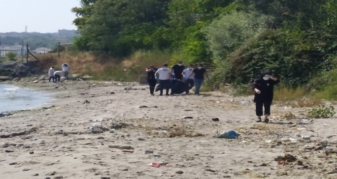 Avcılarda sahile vurmuş erkek cesedi bulundu İhlas Haber Ajansı