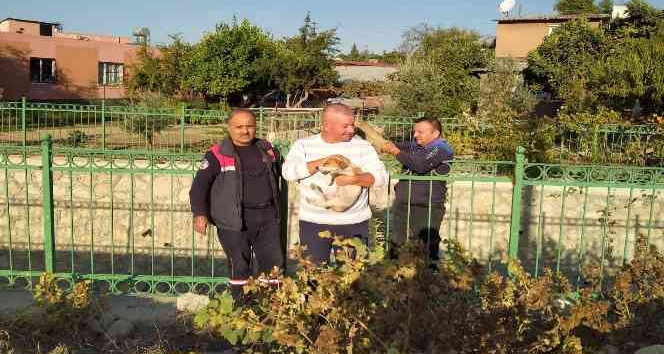 Sulama kanalına düşen yavru köpeği itfaiye kurtardı İhlas Haber Ajansı