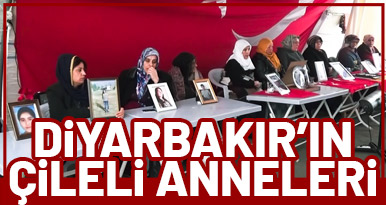 Diyarbakır'ın çileli anneleri