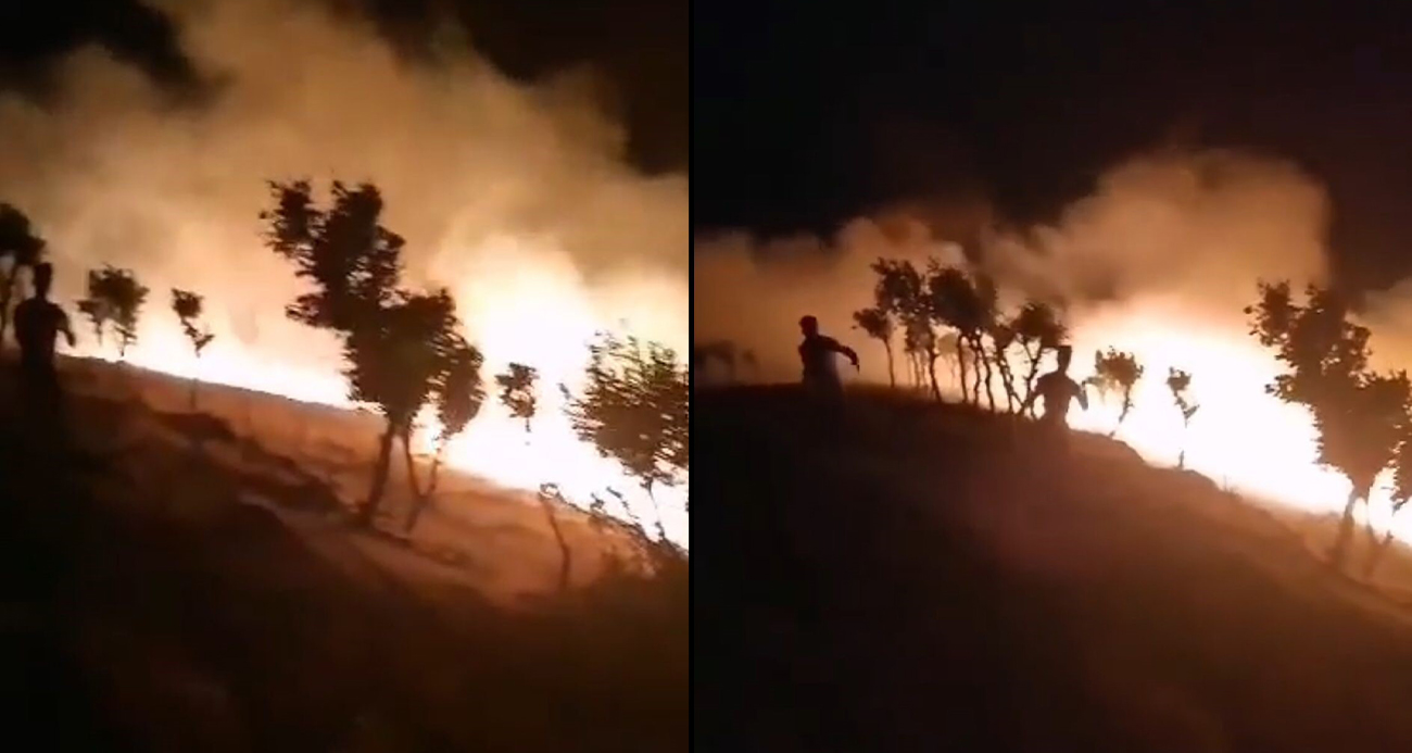 Siirt’te gece yarısı korkutan yangın