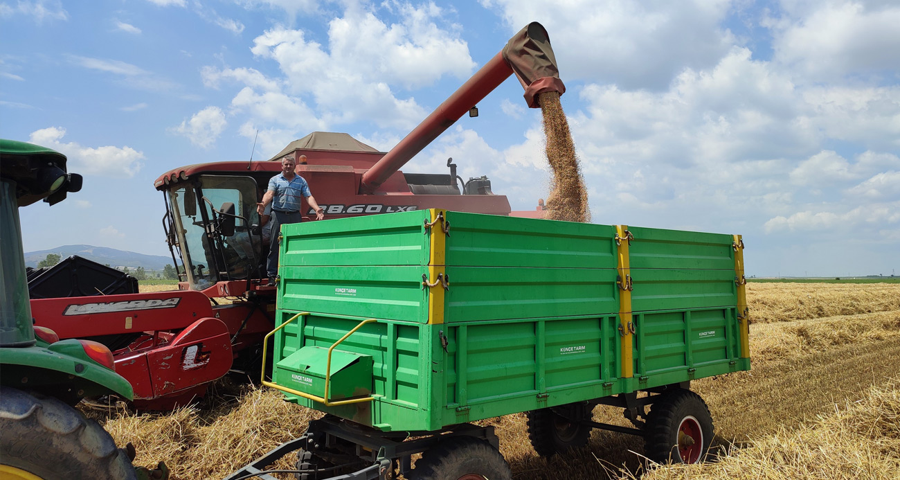 Buğday verimi Keşan çiftçisinin yüzünü güldürdü