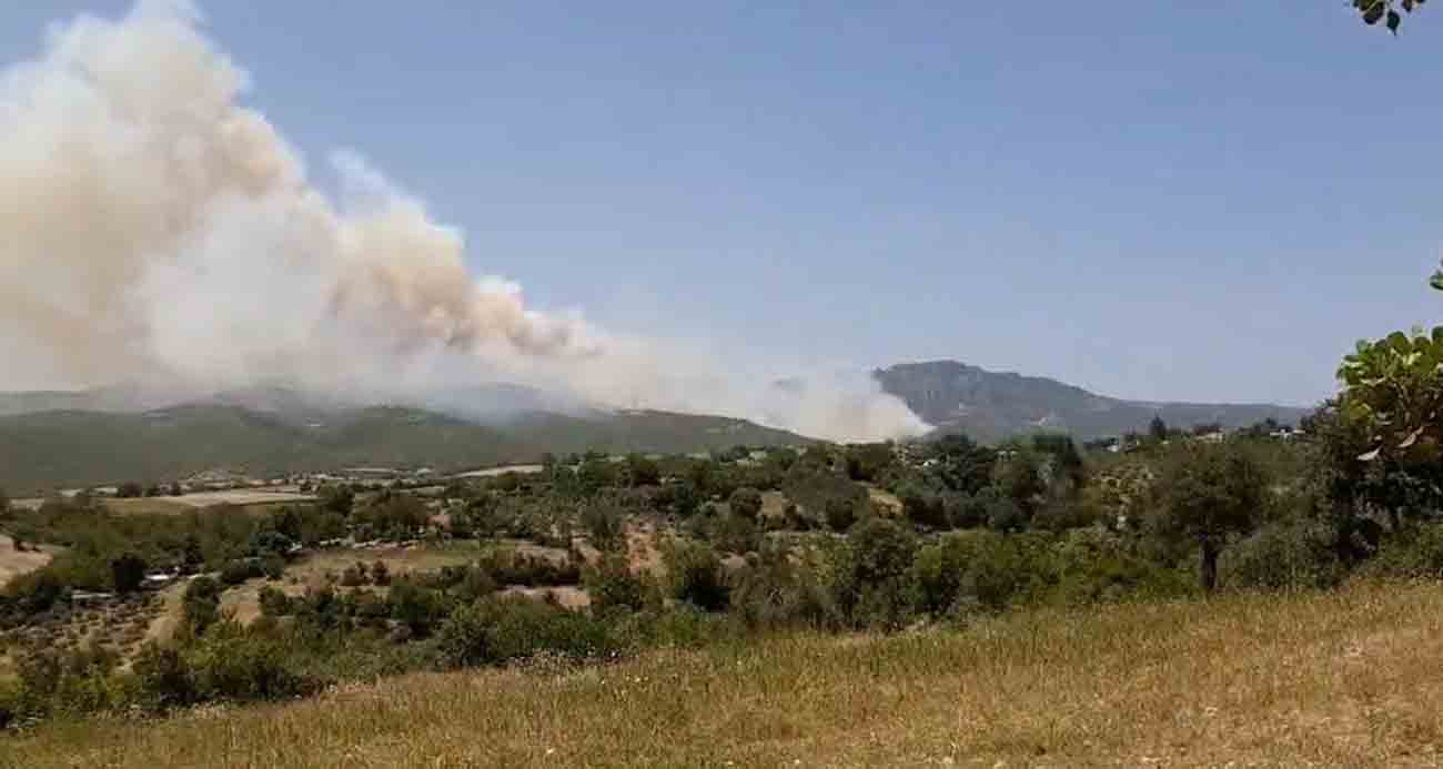 Osmaniye’deki orman yangını rüzgarın etkisi ile büyüdü, müdahale sürüyor