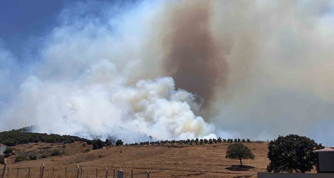 Kahramanmaraş’ta orman yangını