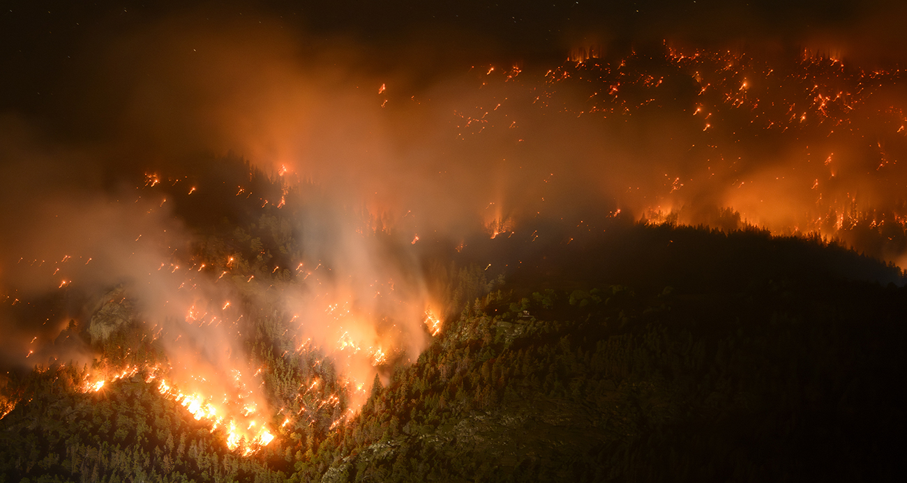 İsviçre&#039;de ormanlık alanda yangın