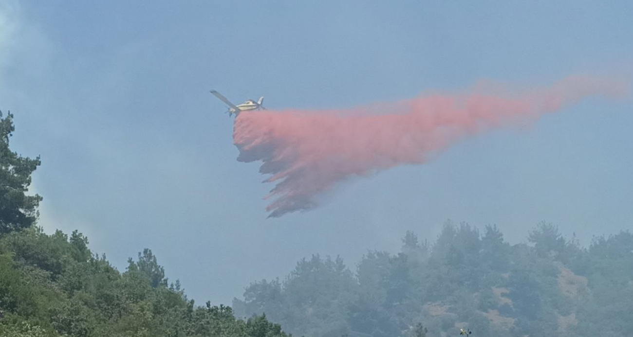 Çanakkale’de 3 gündür devam eden orman yangınına müdahale sürüyor