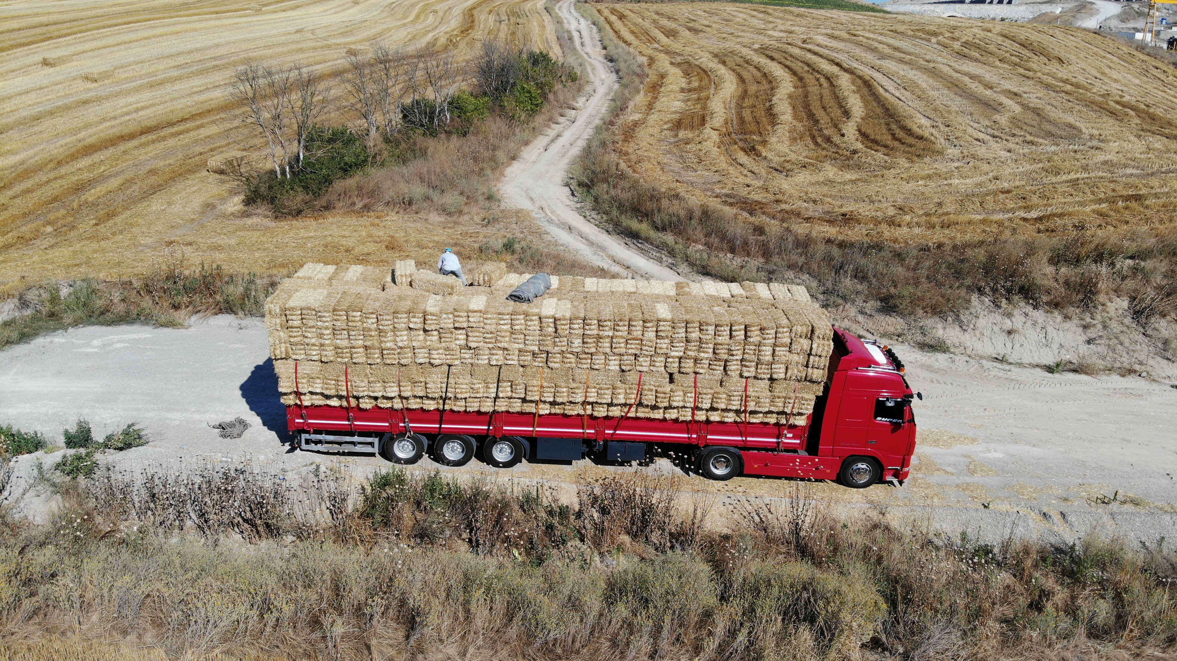 Edirne’de balya işçilerinin kavurucu sıcakta zorlu mesaisi