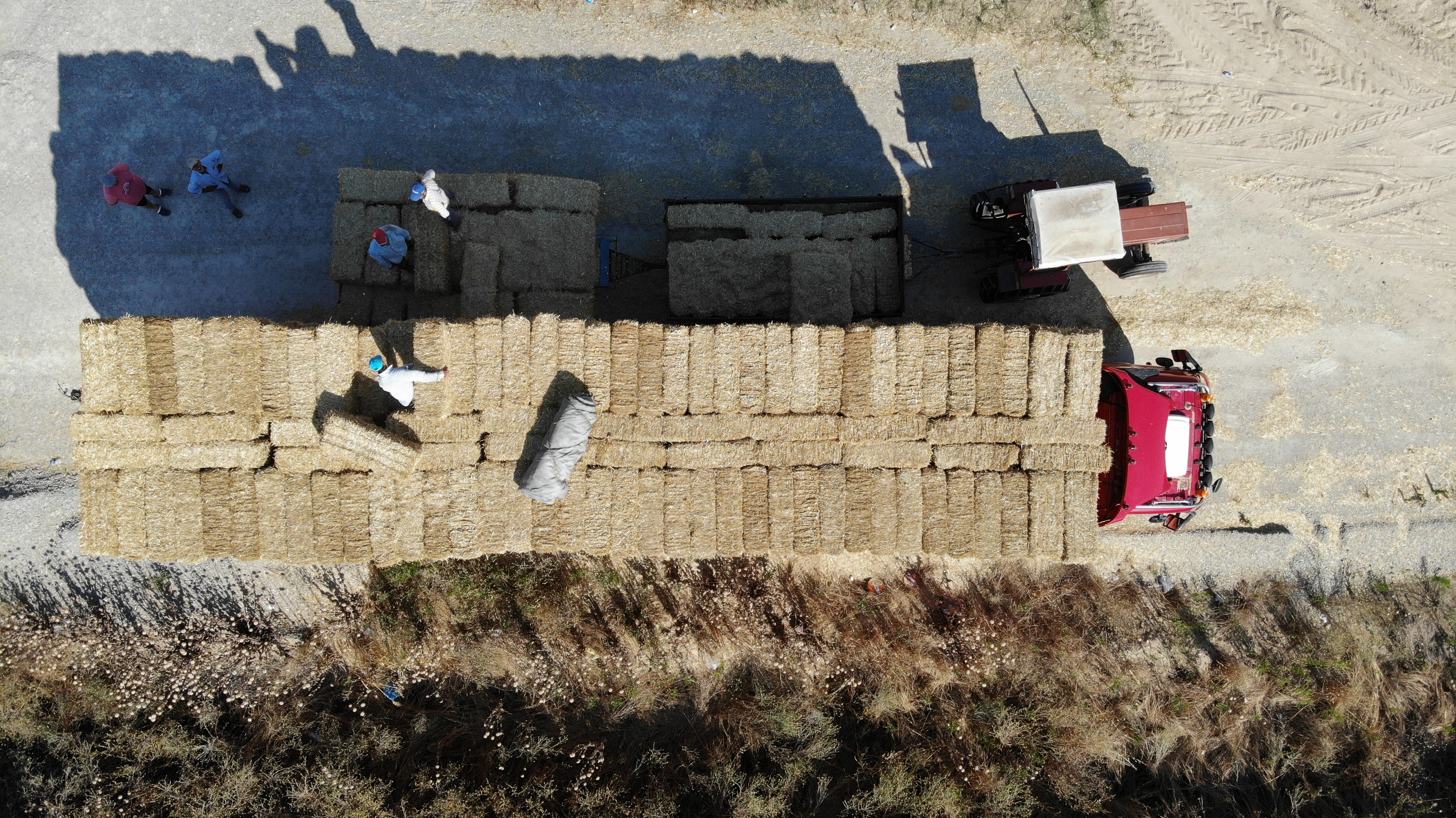 Edirne’de balya işçilerinin kavurucu sıcakta zorlu mesaisi