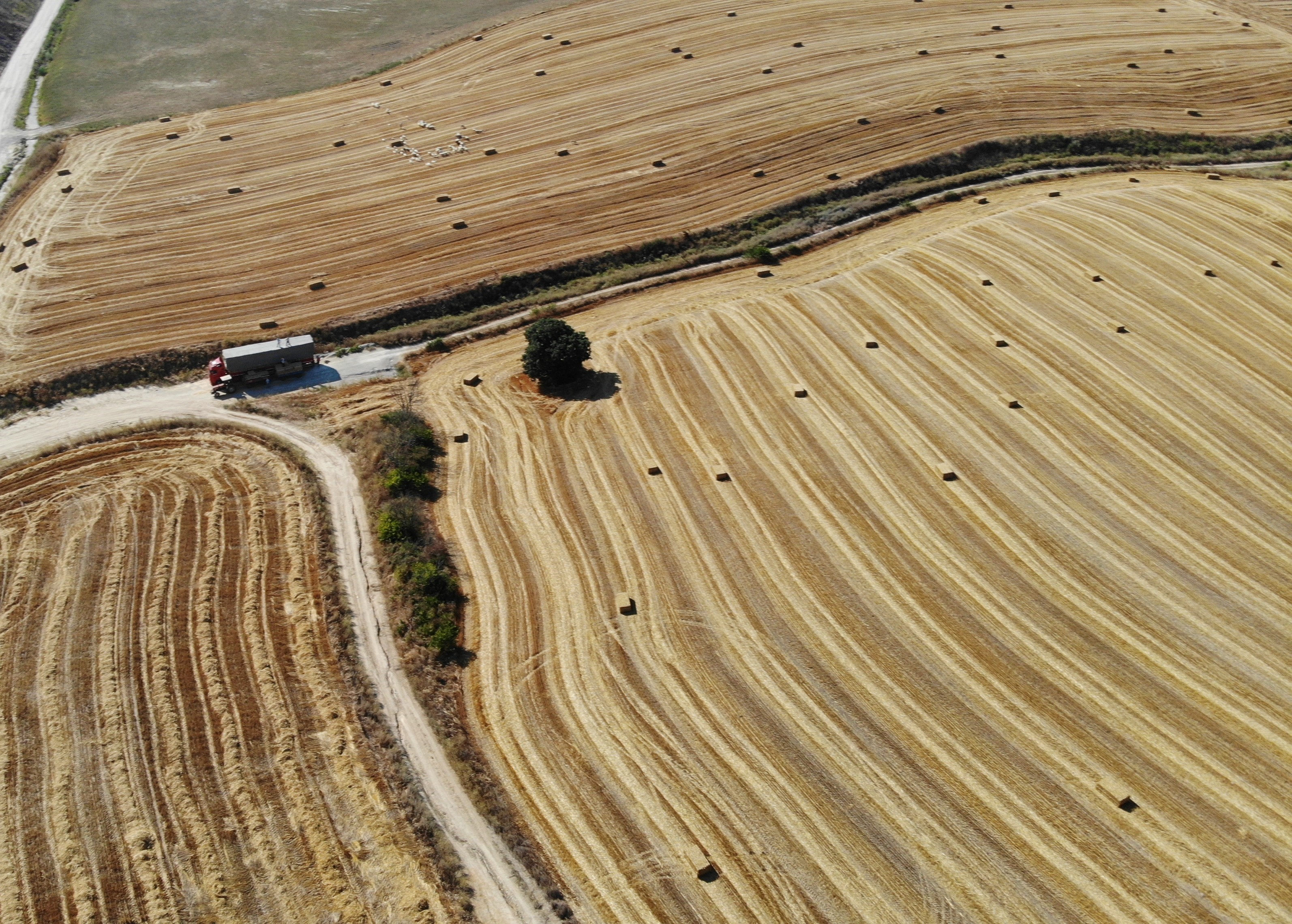 Edirne’de balya işçilerinin kavurucu sıcakta zorlu mesaisi