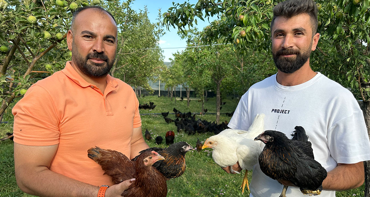 8 civcivle işe başlayan 4 öğretmen bin 200 tavuklu çiftlik kurdu