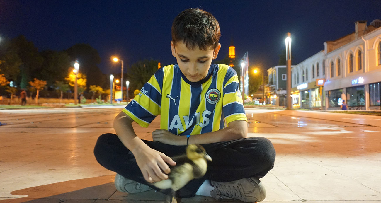 Çocuk ile yavru ördeğin dostluğu görenleri hayrete düşürüyor