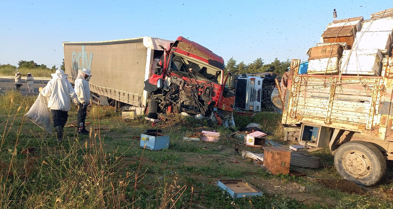 Edirne’de, Muğlalı arıcılara tır çarptı: 4 ölü, 1 yaralı