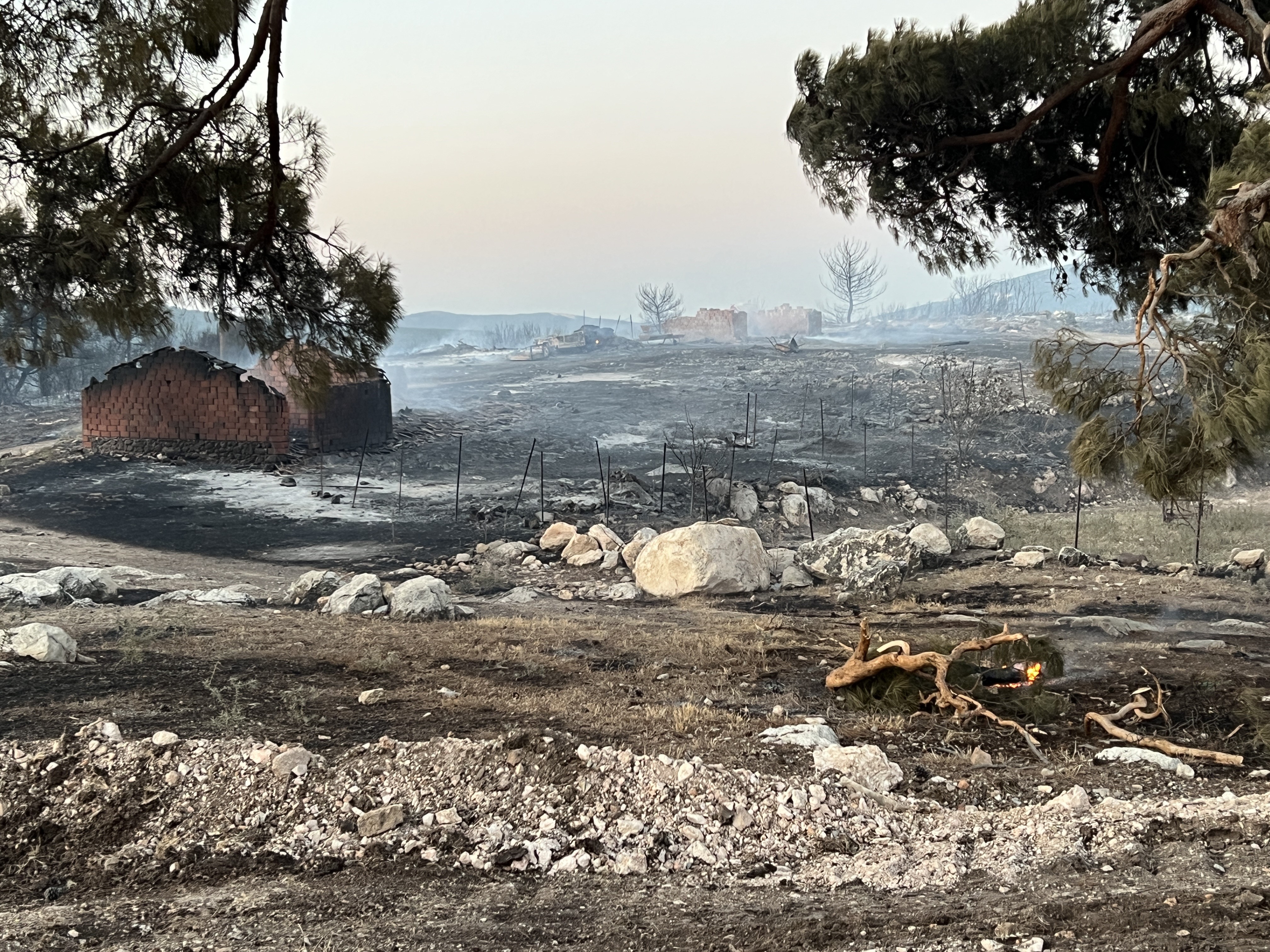 Manisa’daki orman yangınında 14 ev ve 3 ahır kül oldu