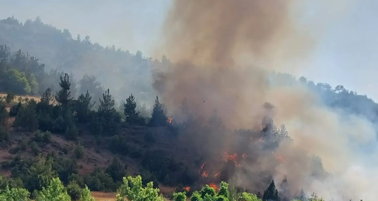 Kahramanmaraş’ta orman yangını