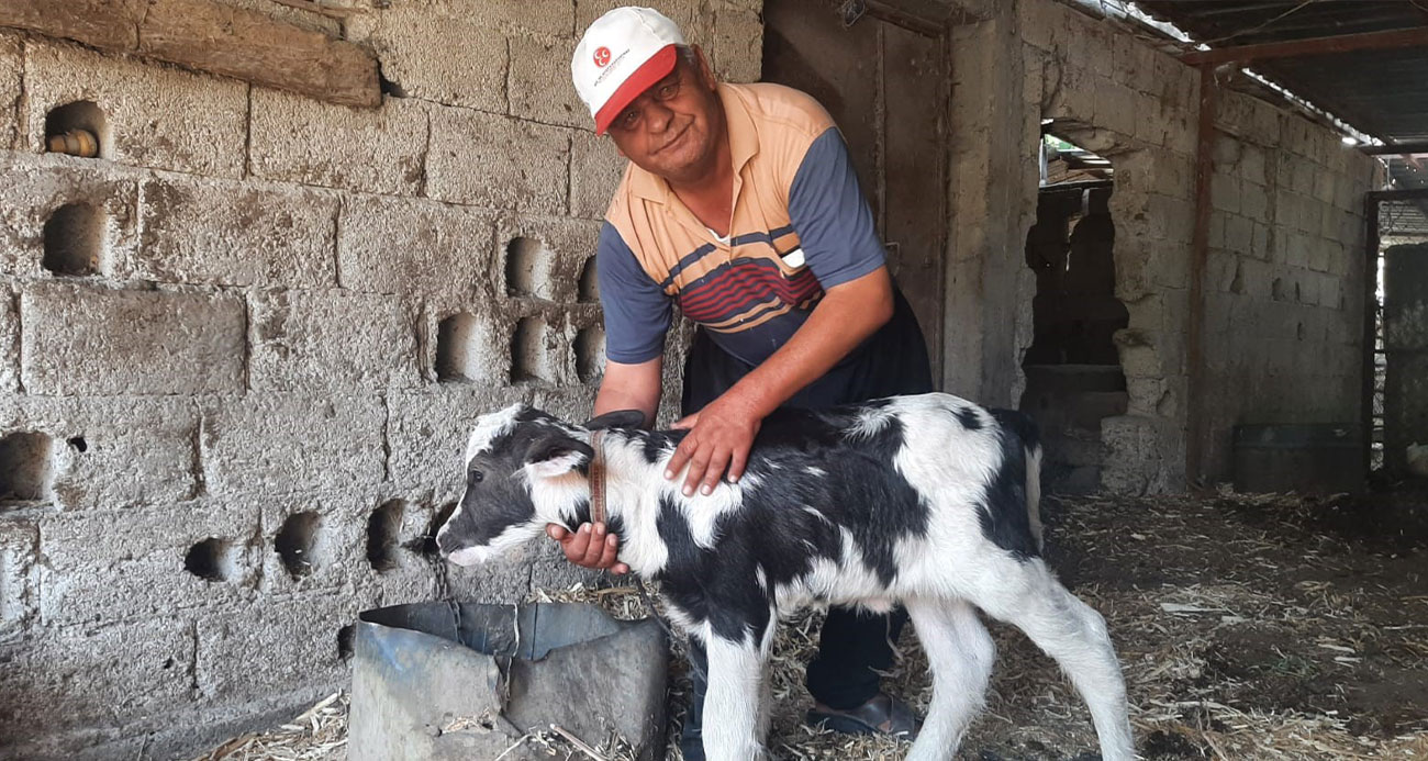 Manda yavrusu, siyah beyaz renklerle doğdu