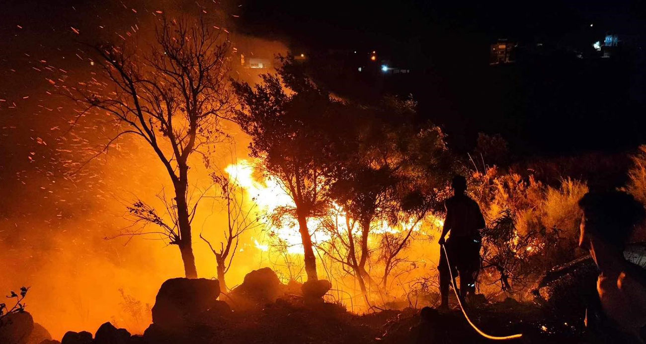 Cezayir’de orman yangını: 15 ölü