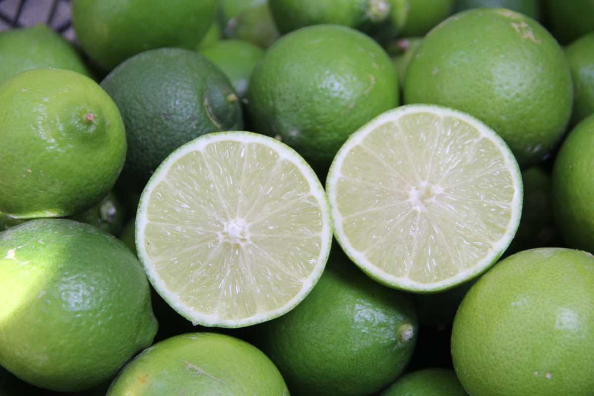 Türkiye’nin ilk ’lime’ cinsi limon hasadı Silifke’de yapıldı