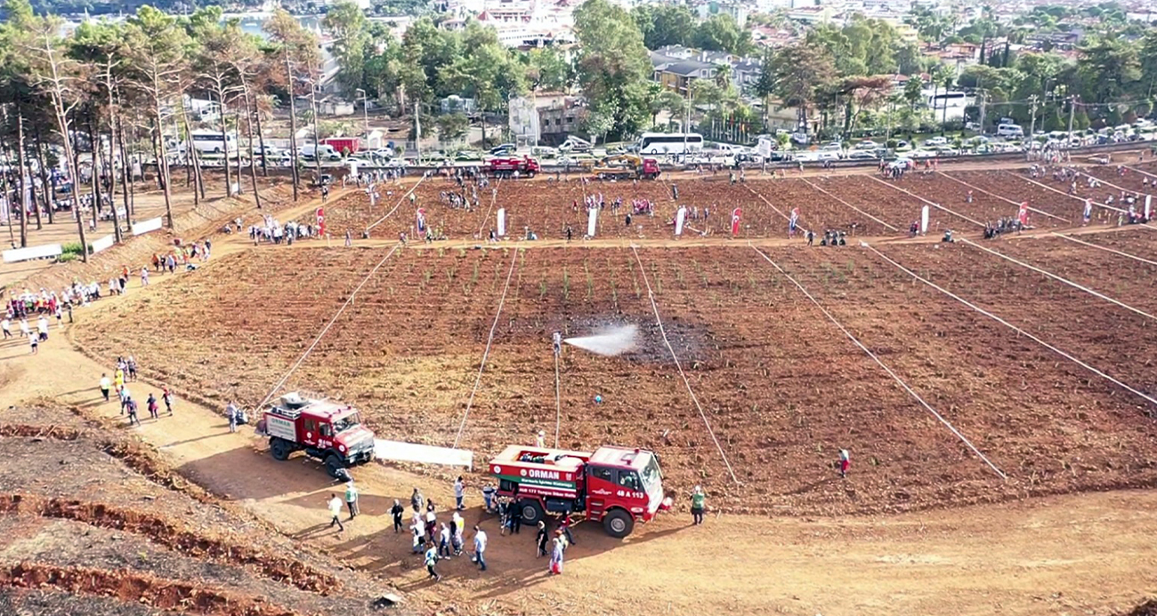 <p><strong>Muğla&rsquo;da yanan alanların tamamı ağa&ccedil;landırıldı</strong></p>
<p>Muğla Orman B&ouml;lge M&uuml;d&uuml;rl&uuml;ğ&uuml;nde b&uuml;y&uuml;k yangınların ardında yanan alanların ağa&ccedil;landırılması s&uuml;recinin ilk aşaması olarak yanan ağa&ccedil;lar sahalardan temizlendi. İlk etapta yanan alanların yanan ağa&ccedil;lardan temizlenme &ccedil;alışması yapıldı. &Ccedil;etin ge&ccedil;en kış şartları y&uuml;ksek rakımlı b&ouml;lgelerde &ccedil;alışmaları olumsuz etkilemiş olmasına rağmen 2022 yılı sonu itibariyle yanan alanlardaki ağa&ccedil;landırma &ccedil;alışmaları tamamen bitirildi.</p>
