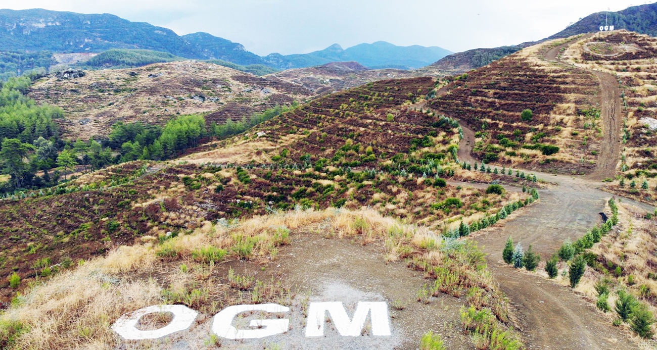 <p>S&ouml;nd&uuml;rme &ccedil;alışmalarında 2 bin 527 si orman personeli (teknik eleman orman m&uuml;hendisi-orman muhafaza memuru-yangın s&ouml;nd&uuml;rme iş&ccedil;isi), 9 bin 378 i diğer kamu kurum ve kuruluşlarda g&ouml;revli personel (afad-itfaiye-asker-polis-sağlık&ccedil;ı-ulaşım) STK lar ve g&ouml;n&uuml;ll&uuml; vatandaşlarla birlikte 15 binin &uuml;zerinde insan g&ouml;rev aldı. 711 adedi orman teşkilatı olmak &uuml;zere belediye itfaiyeleri ve diğer kurumlardan 1500 &uuml;n &uuml;zerinde araz&ouml;z ve itfaiye aracı, 156 sı orman teşkilatı olmak &uuml;zere 500 &uuml;n &uuml;zerinde iş makinası g&ouml;rev aldı. Bunun yanında dış &uuml;lkelerden gelen destekle birlikte 54 helikopter ve 16 u&ccedil;ak hava g&uuml;c&uuml; olarak g&ouml;rev aldı.</p>
<p>Marmaris&rsquo;te Haziran 2021 de &ccedil;ıkan yangında yangın iş&ccedil;isi G&ouml;rkem Hasdemir ve Temmuz 2021 de &ccedil;ıkan yangında g&ouml;n&uuml;ll&uuml; vatandaş Şahin Akdemir olmak &uuml;zere 2 kişi hayatını kaybetti. 150 adet ev ve iş yeri yandı. 43 &uuml; b&uuml;y&uuml;kbaş ve 532 si k&uuml;&ccedil;&uuml;kbaş olmak &uuml;zere 575 hayvan telef oldu. 53 ara&ccedil; yandı.</p>