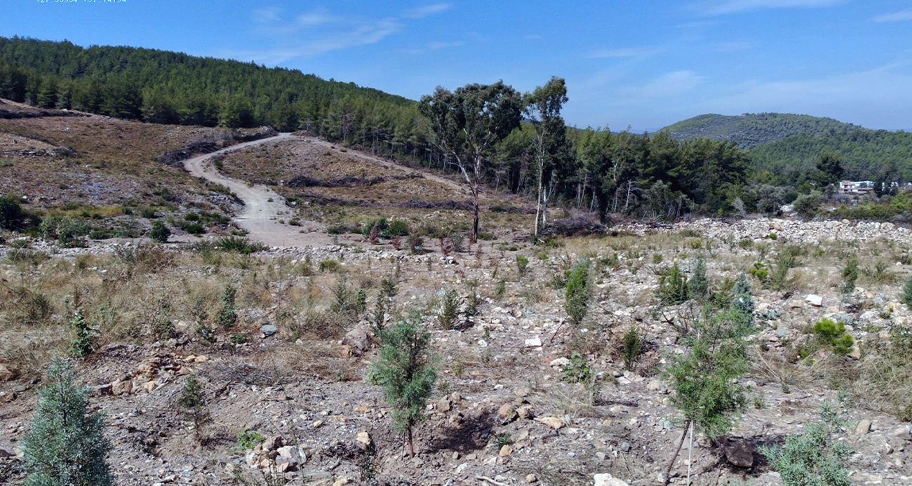 <p>Başta AFAD olmak &uuml;zere devletin diğer kurumları tarafından yangın mağduru vatandaşlara gerekli yardımlar ve desteklemeler yapıldı. Evlerini kaybeden vatandaşlar ilk etapta konteyner yardımı ve ardından kalıcı konutları yapıldı. Yanan alanların tekrar yeşertilmesi konusunda ise orman teşkilatı &ccedil;alışmaları y&uuml;r&uuml;tt&uuml;.</p>
<p>Yanan alanların ağa&ccedil;landırma &ccedil;alışmaları cer&ccedil;evesinde 75 bini kızıl&ccedil;am ve 7 bini kara&ccedil;am olmak &uuml;zere 82 bin kg tohum serpildi. 1 kg kızıl&ccedil;am tohumunda 16 bin adet kızıl&ccedil;am tohumu, 1 kg kara&ccedil;am tohumunda yaklaşık 45 bin adet kara&ccedil;am tohumu bulunduğu dikkate alındığında Muğla&rsquo;da yanan alanlara yaklaşık 1 milyar 500 milyon adet &ccedil;am tohumu serpilmiş oldu.</p>