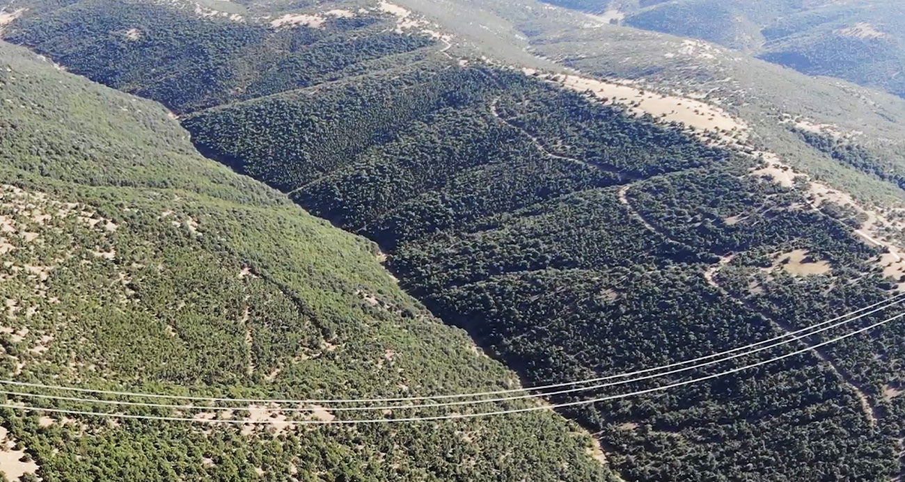 Keskin gözler yeşil doğanın üzerinde: Bin 760 rakımlı zirvede yangın nöbeti tutuyorlar