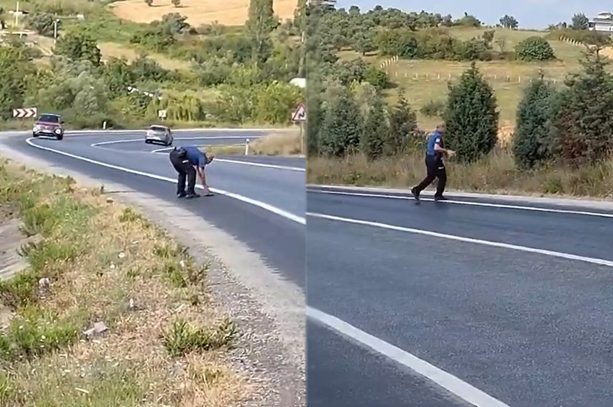 Kaplumbağayı ezilmekten kurtaran polis takdir topladı
