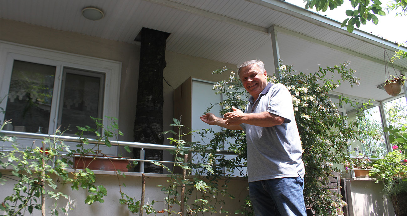 Baba mirası ağacı kesmeye kıyamadı: 11 yıldır evin balkonundan geçen ağaçla yaşıyor