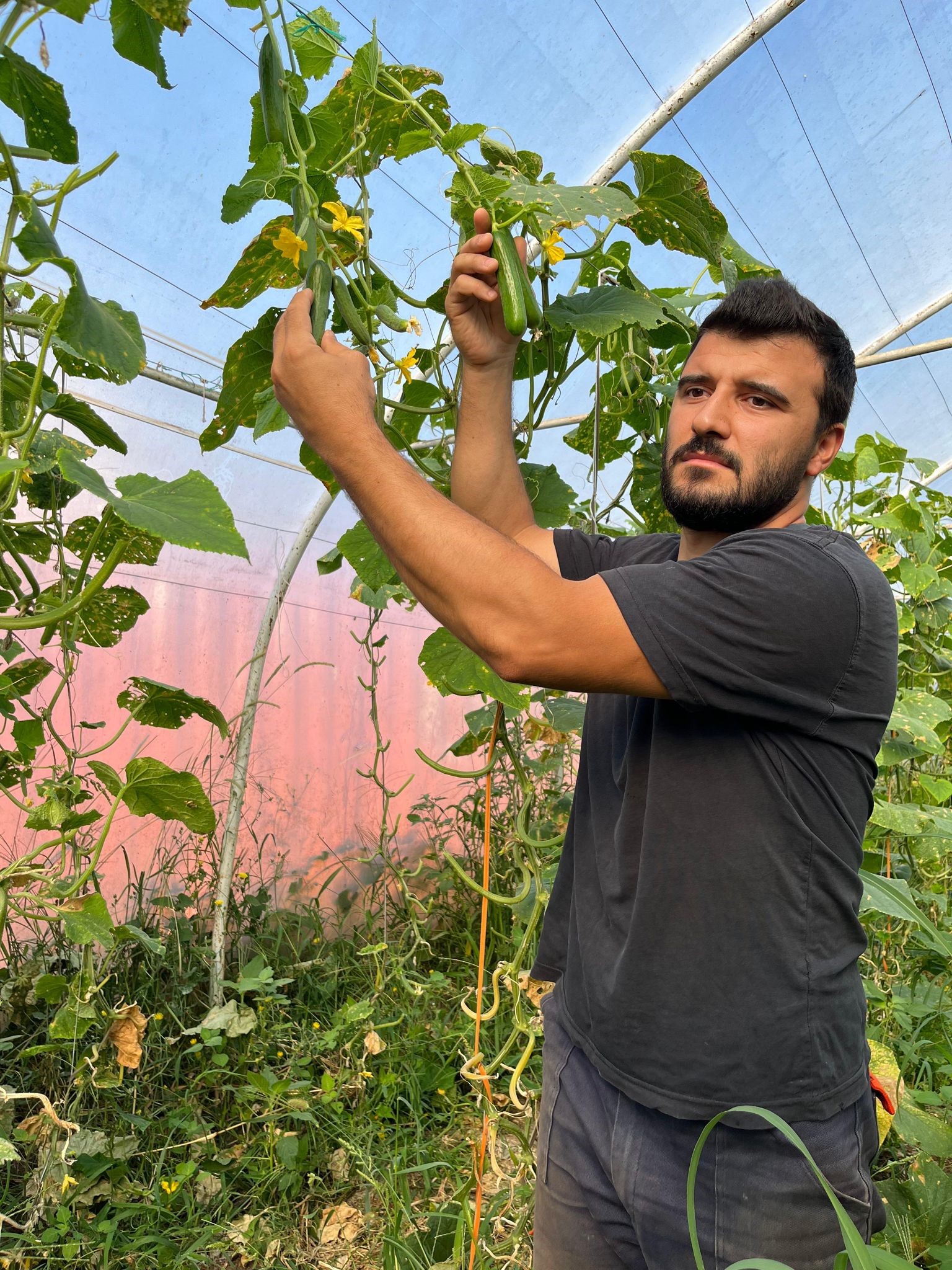 Gönül gözüyle seradan şampiyonalara