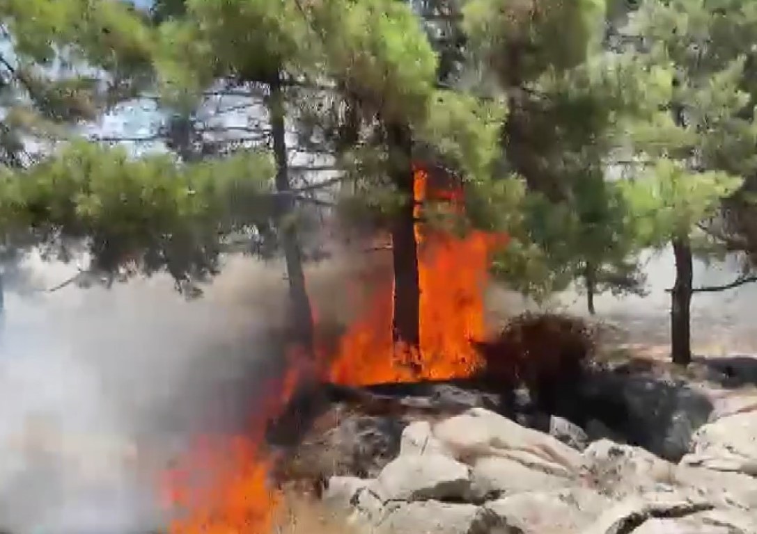 Adıyaman’da orman yangını