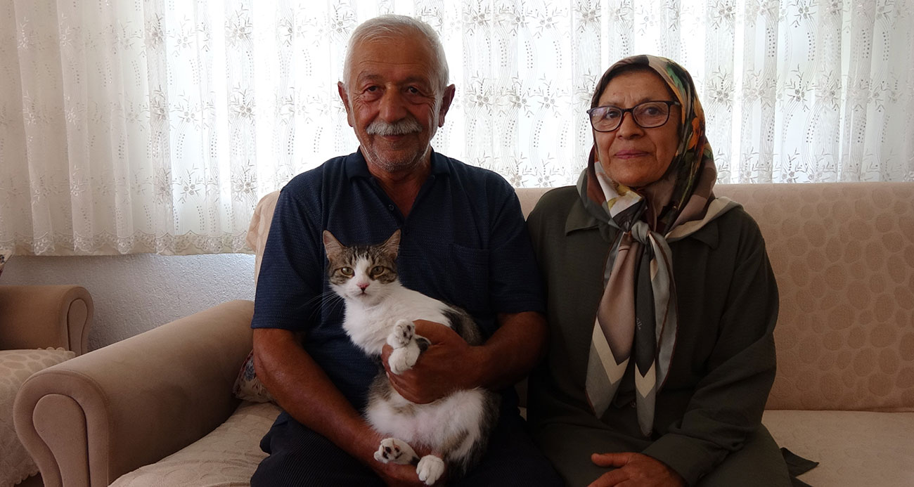 Depremde kaybettikleri kedilerini geri dönüp 5 ay sonra buldular