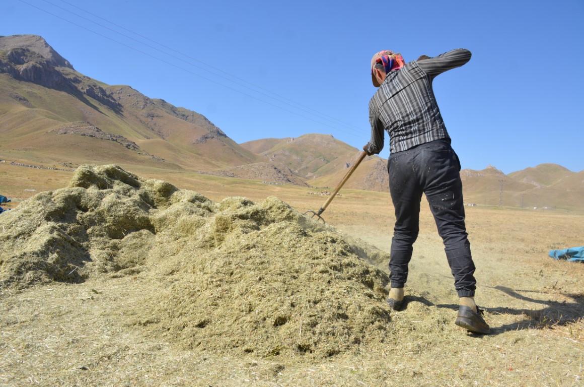 Faraşin Yaylası’nda besicilerin zorlu kış hazırlıkları devam ediyor