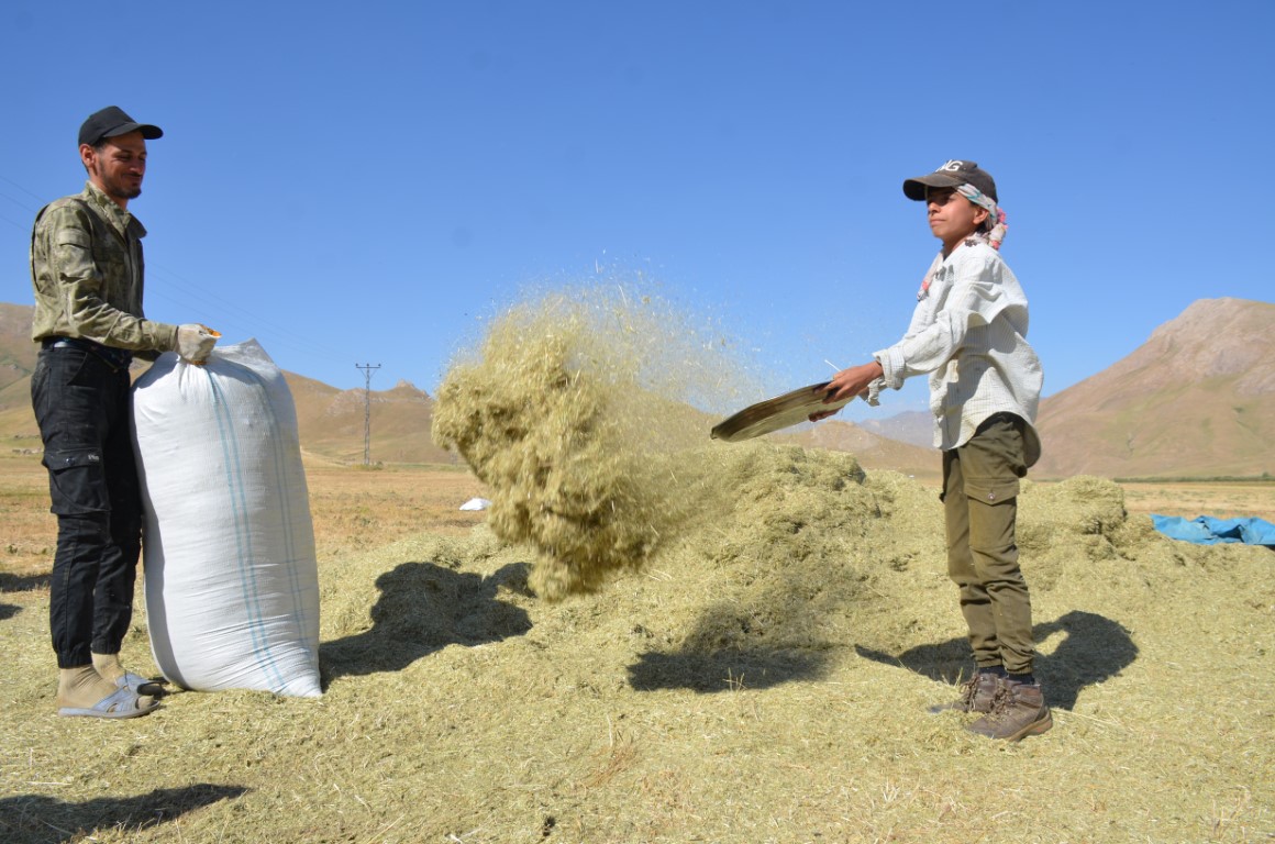 Faraşin Yaylası’nda besicilerin zorlu kış hazırlıkları devam ediyor