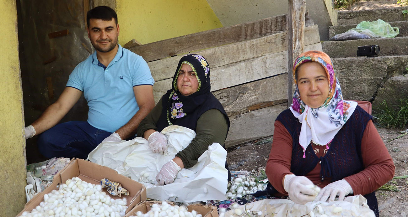 20 metrekare alanda 40 kilo yetişiyor: Kilosu 400 TL