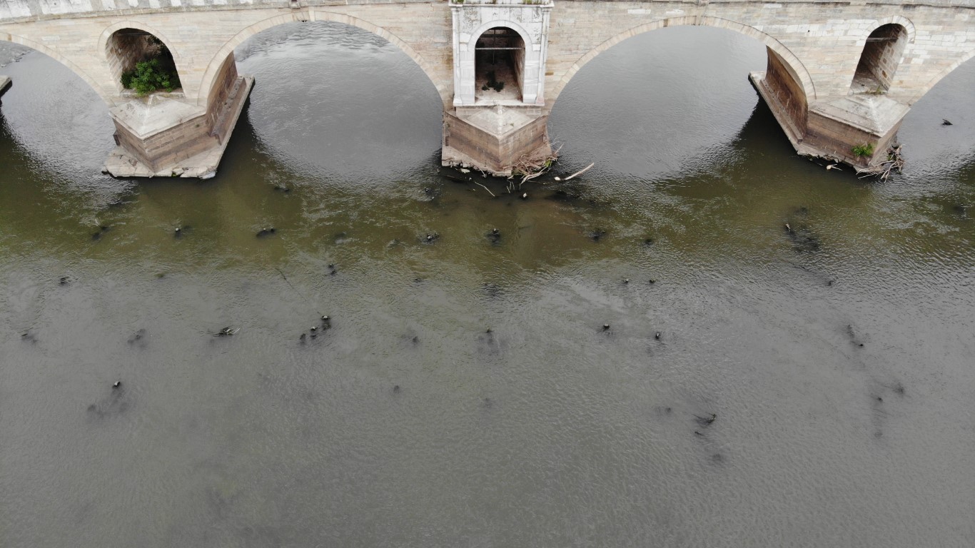Meriç Nehri’ni kuraklık vurdu: Tarihi ahşap köprünün ayakları gün yüzüne çıktı