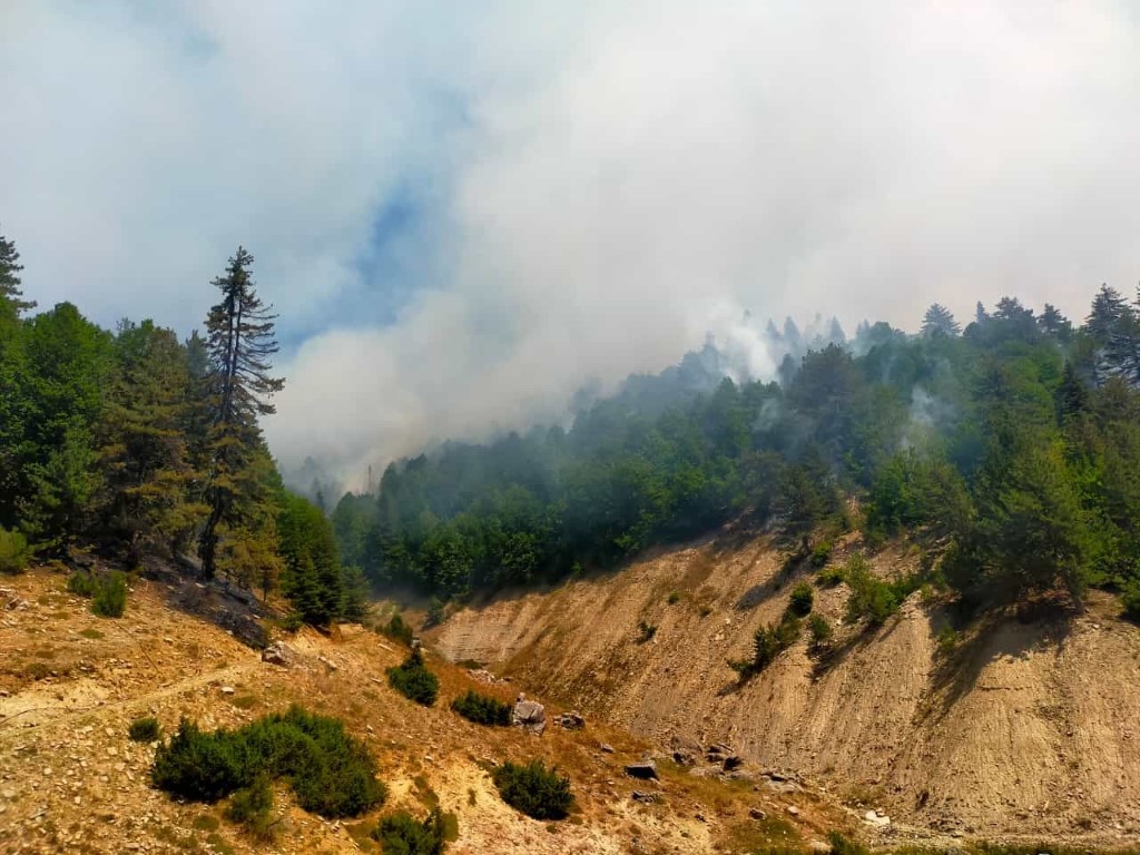 Kahramanmaraş’taki orman yangını iki noktada devam ediyor
