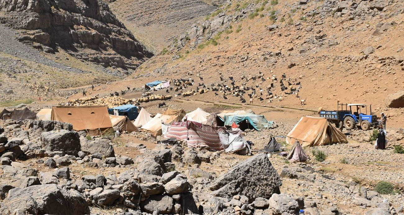 Terörden arındırılan yaylalarda hayvancılık yapanlar için yaşam alanları oluşturuldu
