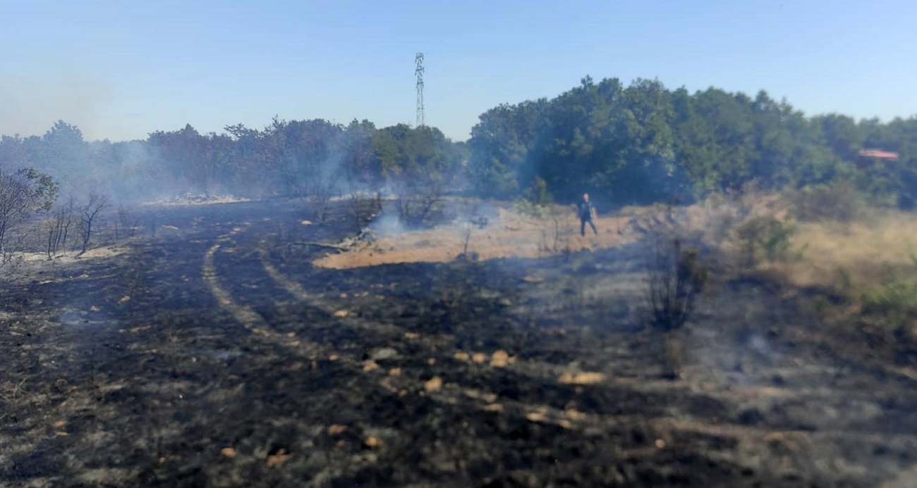 Biga’da ormanlık alanda çıkan yangın kontrol altına alındı