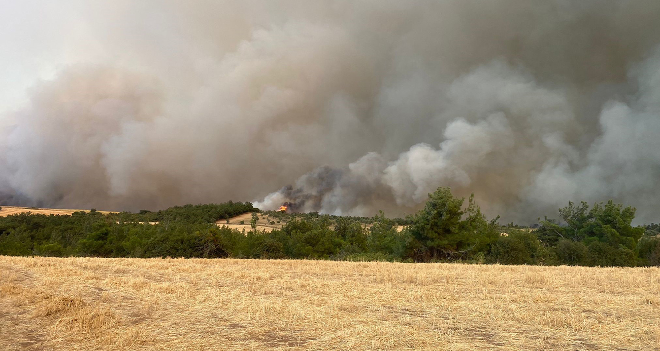 Çanakkale’de orman yangınına müdahale sürüyor