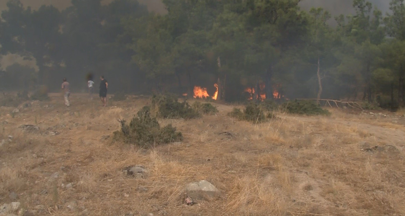 Çanakkale’deki yangında korku dolu anlar!
