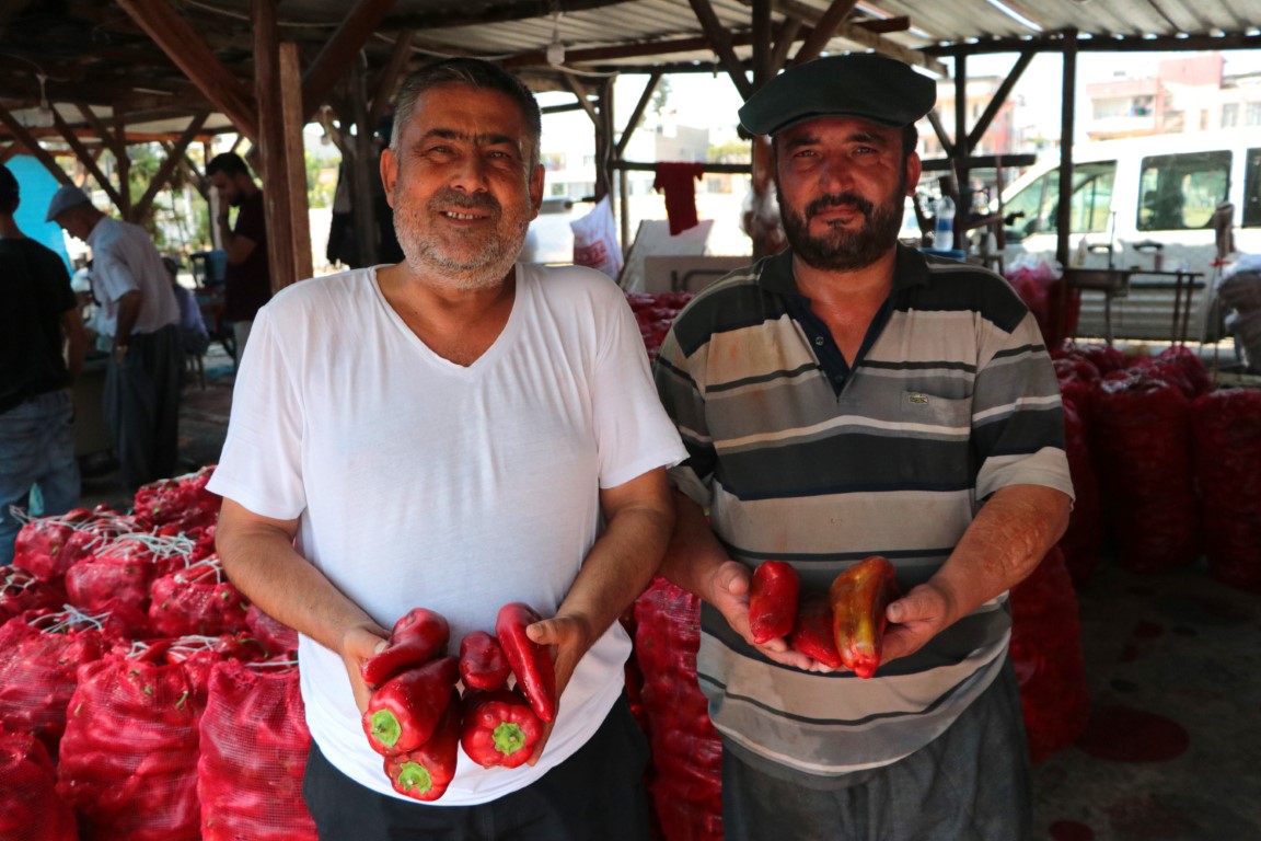 Salça sezonu başladı, damlar kızardı