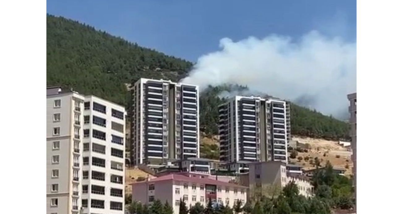 Kahramanmaraş’ta orman yangını kontrol altında