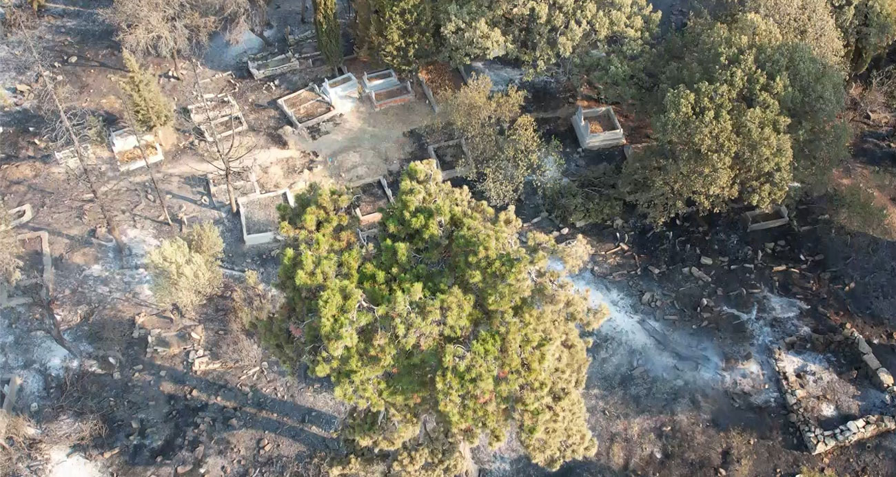 Çanakkale’deki yangın yürek sızlattı: Mezarlar alev alev yandı