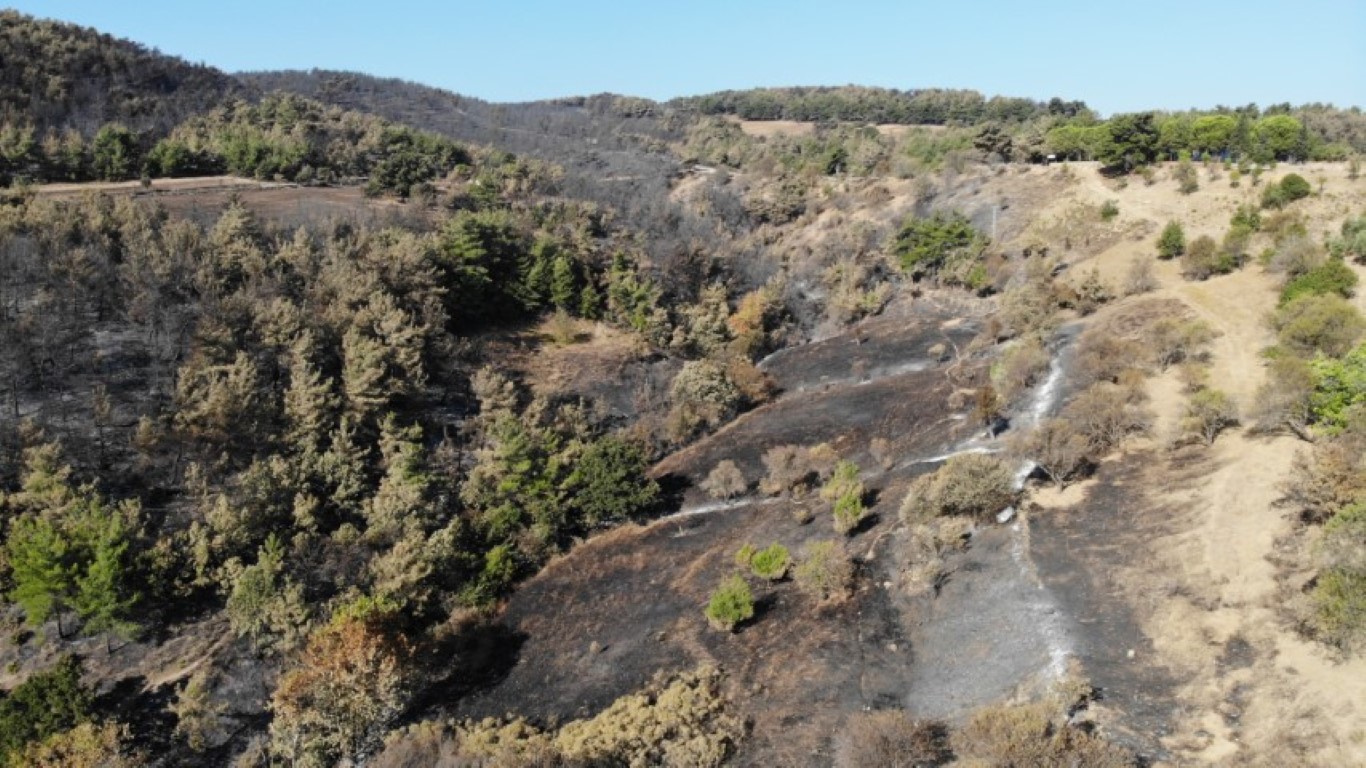 Çanakkale’nin ciğerlerini yakan yangın burada başlamış