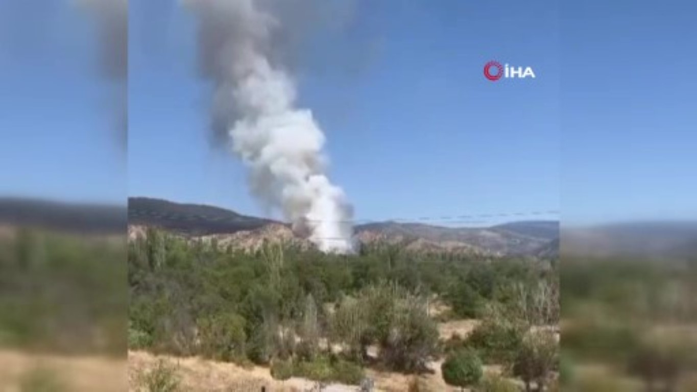 Çankırı’da orman yangını çıktı, bölgeye çok sayıda ekip sevk edildi