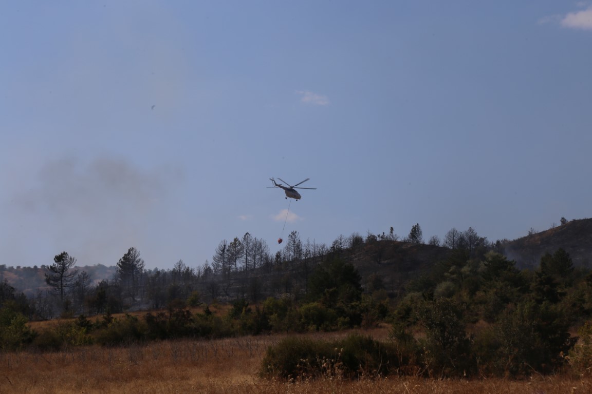 Ilgaz Dağı’ndaki orman yangını kontrol altına alındı: 15 hektar alan küle döndü