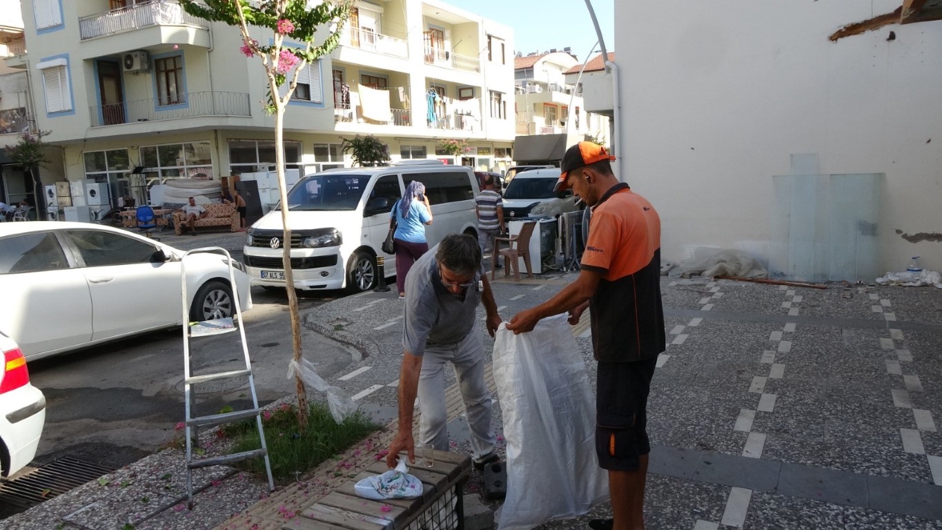 Ağaçta oğul veren bal arılarını elleriyle topladı