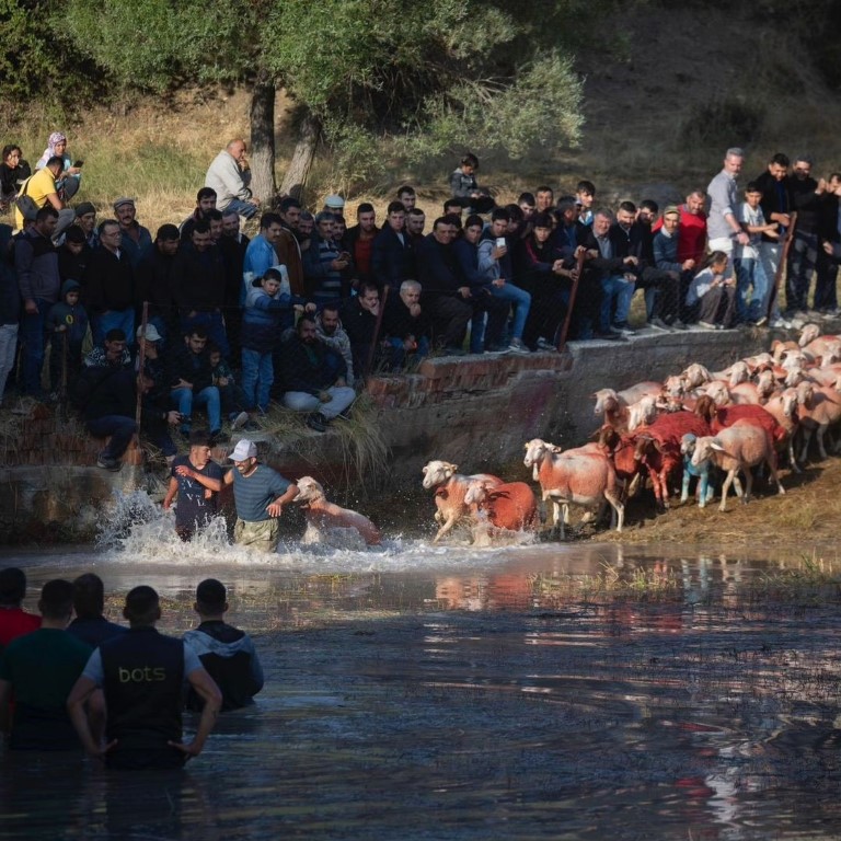 Burdur’un 750 yıllık Yörük geleneği 'Yünüm Böğet' renkli görüntülere sahne oldu