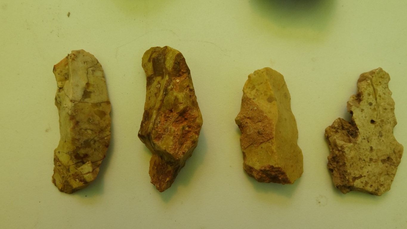 64 bin yıllık sır