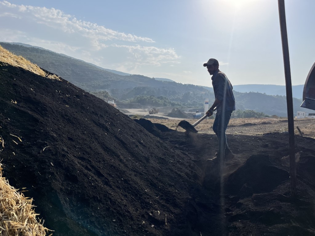 Odun öbeklerinin karşısından günlerce süren kömür nöbeti