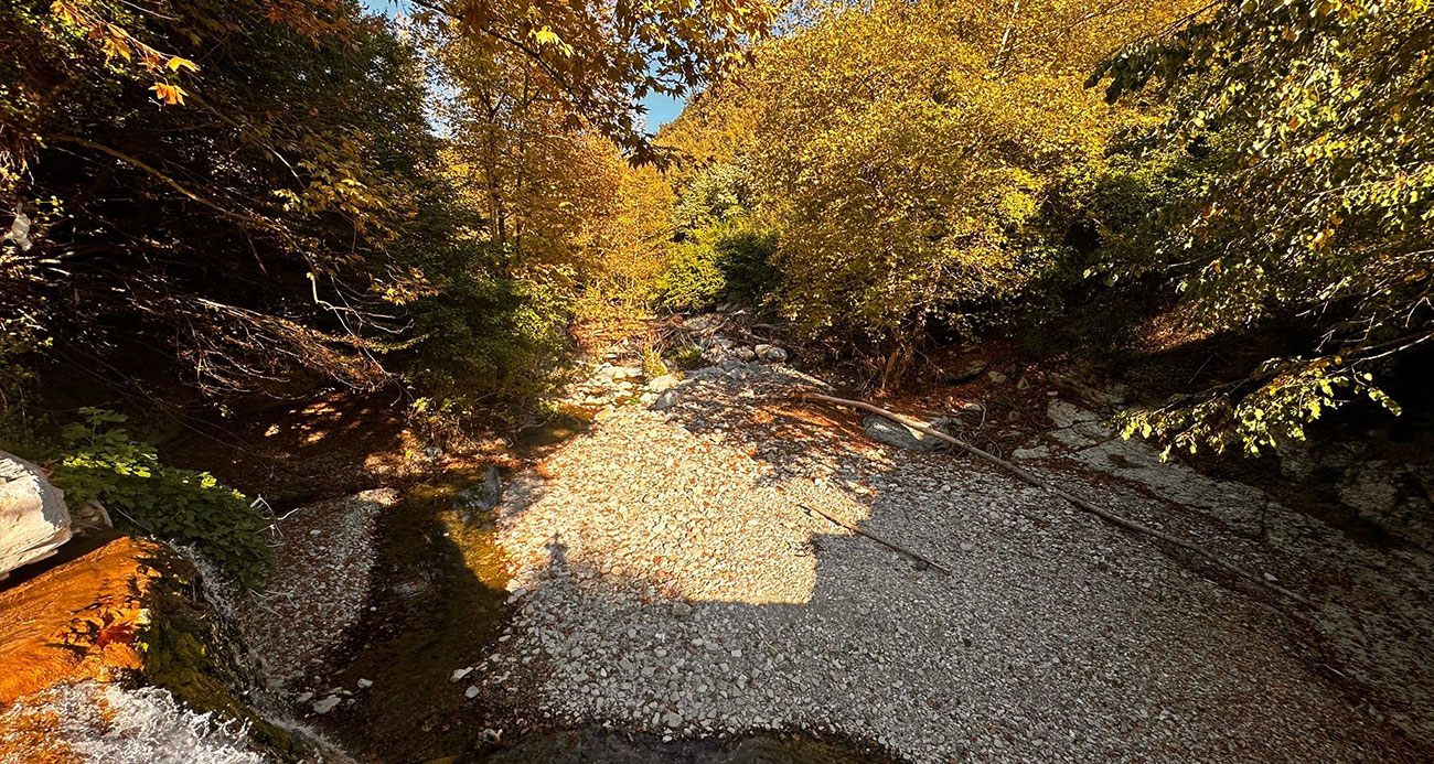 Zonguldak’ta eşsiz sonbahar manzarası