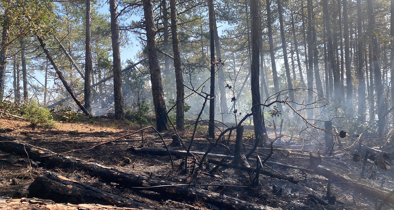 Kütahya’daki orman yangını için Bursa’da da seferberlik